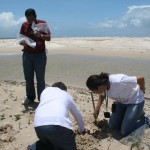 Pesquisadores pernambucanos realizam estudos sobre fungos no litoral sergipano - Fotos: Valéria Lima/Semarh