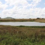 Governo do Estado atinge meta de recuperação de barragens - O engenheiro civil da Cohidro