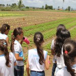 Alunos de escola pública visitam perímetro da Cohidro em Lagarto - Alunos de escola pública visitam perímetro em Lagarto / Fotos: Ascom/Cohidro