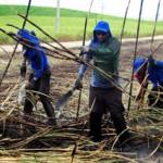 Governo paga quarta parcela a beneficiários do ‘Mão Amiga' - Foto: Ednah Mary/Inclusão