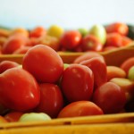 Seides participa de ações em alusão ao Dia Mundial da Alimentação - Fotos: Ascom/Seides