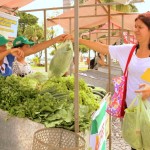 Governo promove ações da Semana da Alimentação na Praça Fausto Cardoso - A cabeleireira Jaqueline de Barros achou ótima a ideia do evento e comprou hortaliças