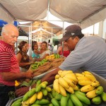 Governo implanta feira da agricultura familiar em Tomar do Geru - Fotos: Edinah Mary/Inclusão