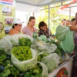 Governo inaugura Feira da Agricultura Familiar em Umbaúba  - Fotos: Edinah Mary/Inclusão Social