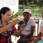 Perímetro da Cohidro recebe Encontro Técnico da UFS - Dr. Marcos Cabral explicou aos colonos do Dandara como é feita a coleta de material para análise da qualidade do solo / Fotos: Ascom/Cohidro