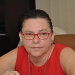 Conselho Estadual dos Transportes discute vida útil da frota de veículos - A presidente em exercício