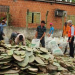 Governo distribui alimento para animal no Sertão - A produtora rural Edilza Pereira de Aragão