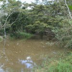 Nascentes de Salgado são monitoradas por técnicos da Semarh - Fotos: Ascom/Semarh