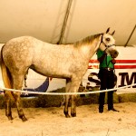 Jackson visita 72ª Expoese e acompanha leilão de animais -