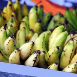 Feirantes agradecem ao Governo pela Feira da Agricultura Familiar -