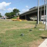 Novo viaduto do Detran é liberado e melhora trânsito da região -