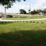 Novo viaduto do Detran é liberado e melhora trânsito da região -