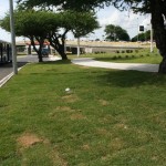 Novo viaduto do Detran é liberado e melhora trânsito da região -