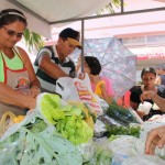 Governo incentiva a renda na agricultura irrigada e beneficia 9.315 pessoas - Diretor de Irrigação da Cohidro