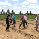 Agricultores de Canindé visitam produção orgânica da Cohidro - A produtora Quitéria Santos Araújo
